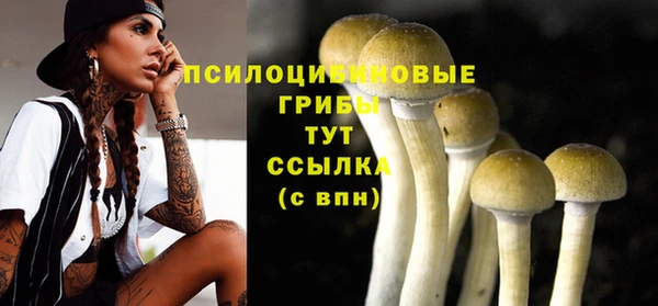 гидра Волосово