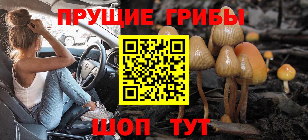 Псилоцибиновые грибы мухоморы  Шали 